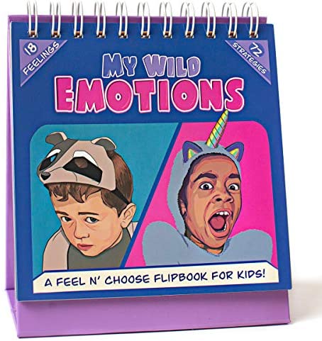 Toys and Games for Autistic Children: My Wild Emotions – A Feelings Flip Book for Kids & Toddlers; Children Identify Moods, Make Positive Choices; 18 Expressions & Behavior Chart. Therapy Toys for Autistic Children / ADHD / Speech Therapy
