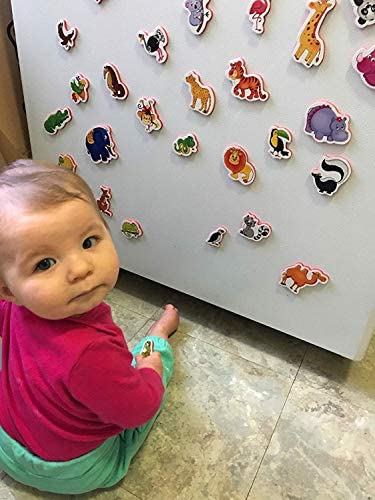 Toys for Babies Under One: Refrigerator Magnets for Kids ZOO Animals- Foam magnets for toddlers- Developmental toys- Fridge Magnetic set for children- Baby toys- Animals toys- Educational toys for 1 year olds- Toddler toys