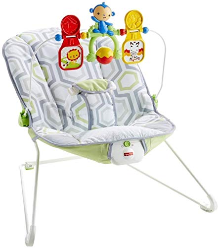 Toys for Babies Under One: Fisher-Price Baby’s Bouncer Geo Meadow