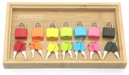 Toys and Games for Autistic Children: MEROCO Montessori Matching Colorful Keys and Locks Set Montessori Practical Life Matching Game Learning Toys for Kids Toddlers Kindergarten