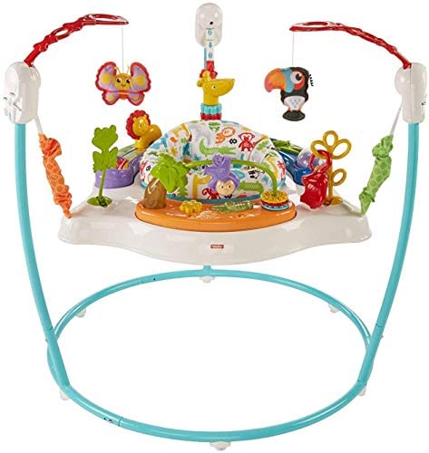 Toys for Babies Under One: Fisher-Price Animal Activity Jumperoo, Blue, One Size