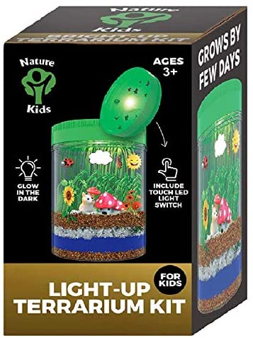 Toys and Games for Autistic Children: Light-up Terrarium Kit for Kids LED Light on Lid – Science Kit for Kids – Crafts & Arts Create Customized Mini Garden for Children – Toys Gifts for Boys & Girls Age 3, 4, 5, 6, 7+ Year Old – Kids Toys