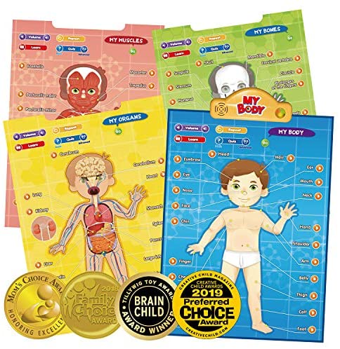 Toys and Games for Autistic Children: BEST LEARNING i-Poster My Body – Interactive Educational Human Anatomy Talking Game Toy System to Learn Body Parts, Organs, Muscles and Bones for Kids Aged 5 to 12 Years Old