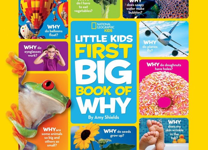 Toys for Toddlers: National Geographic Little Kids First Big Book of Why (National Geographic Little Kids First Big Books)